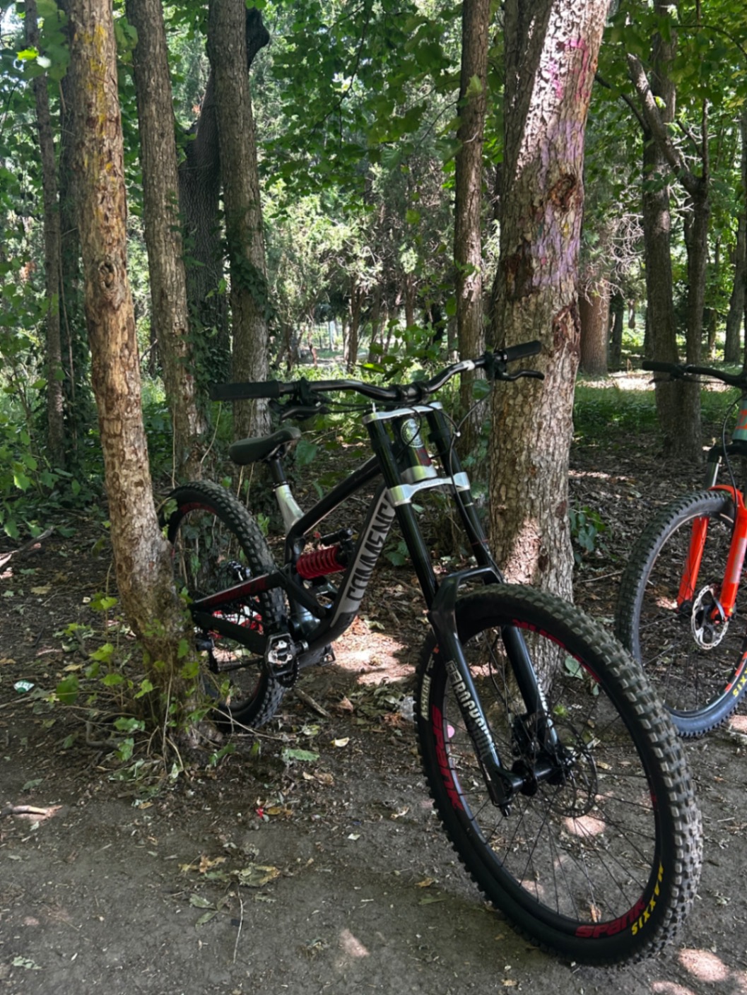 Bike view 7