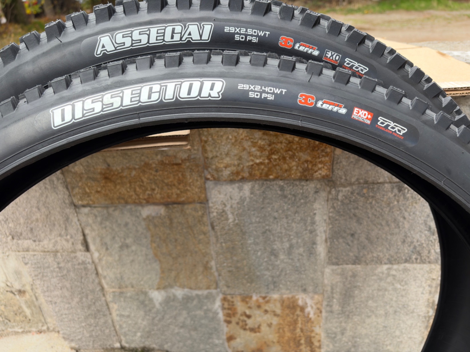 Maxxis Assegai + Dissector view 2