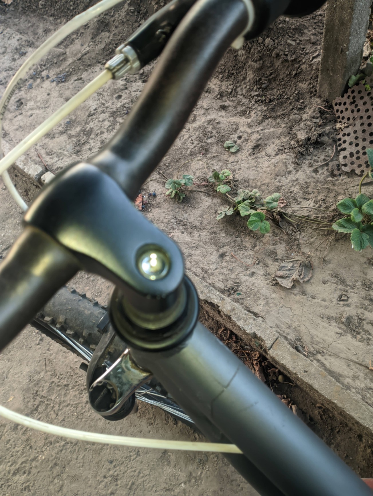 Bike view 5