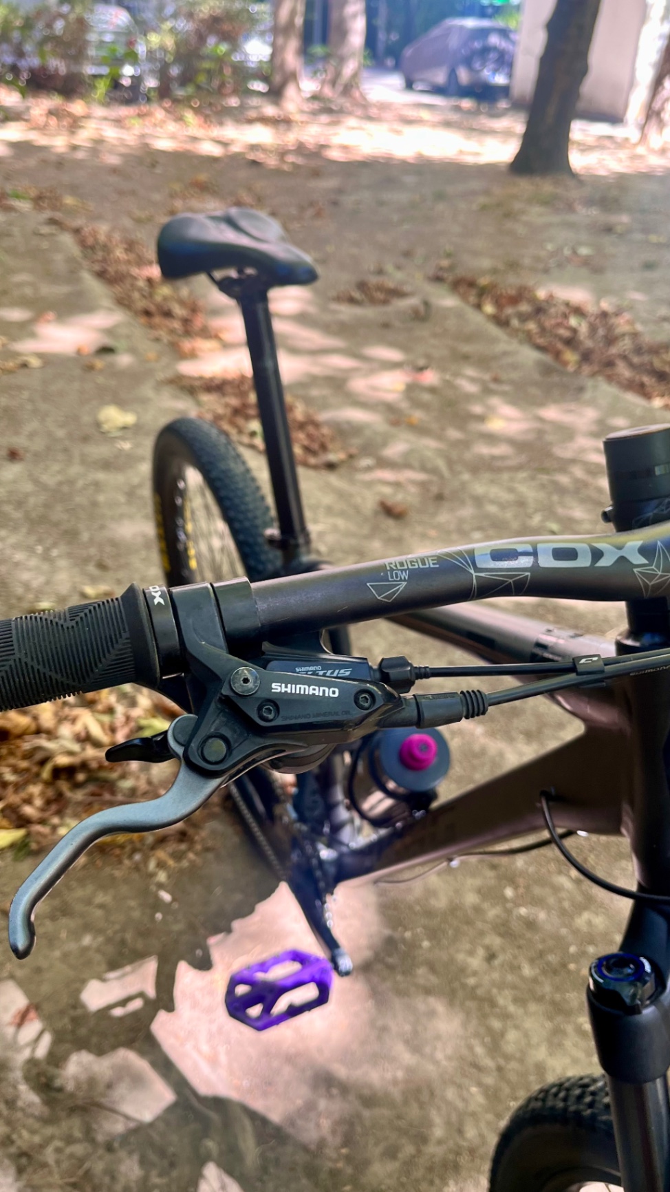 Bike view 6