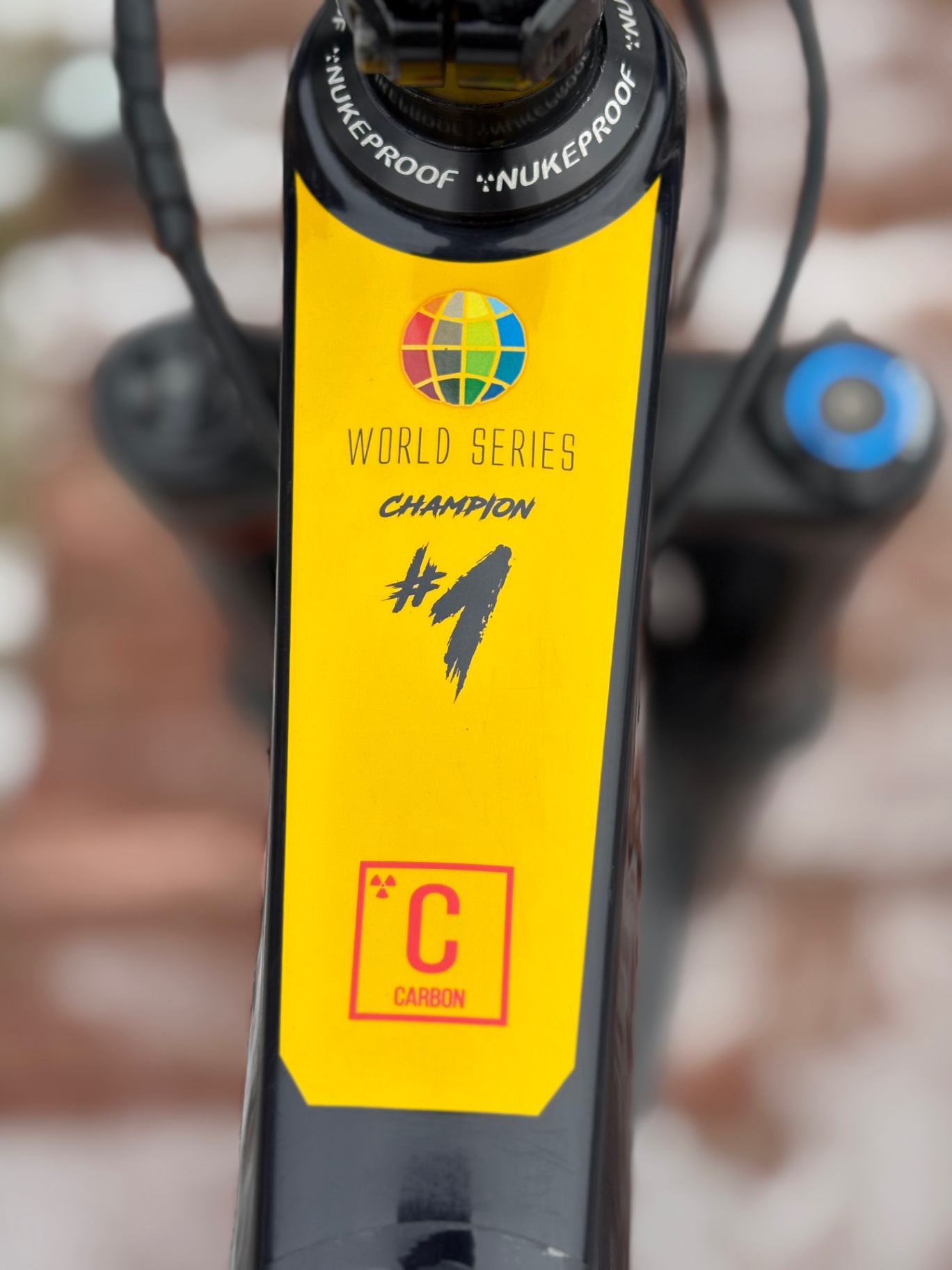 Bike view 5