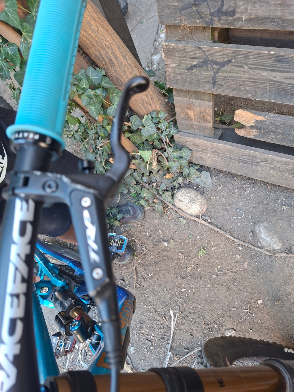 Trp Dh-r evos view 2
