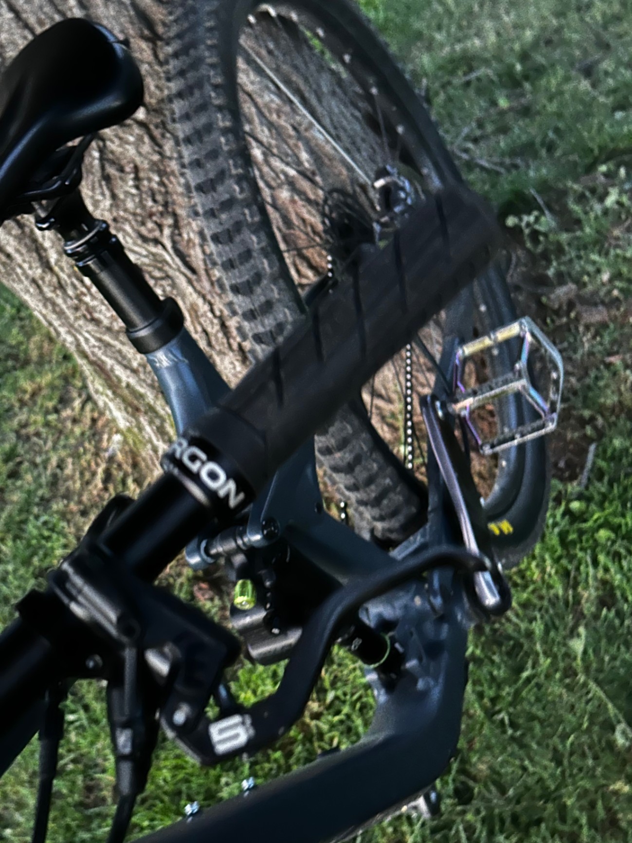 Bike view 6