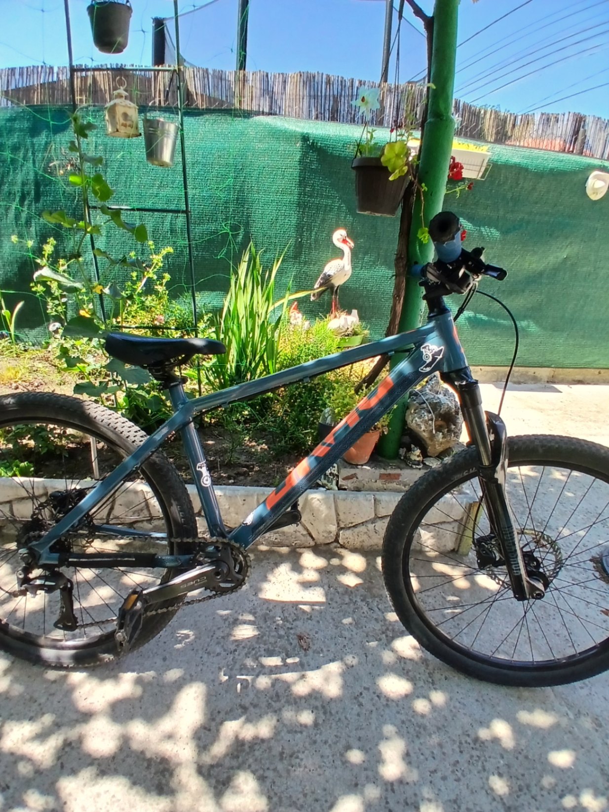 Bike view 7