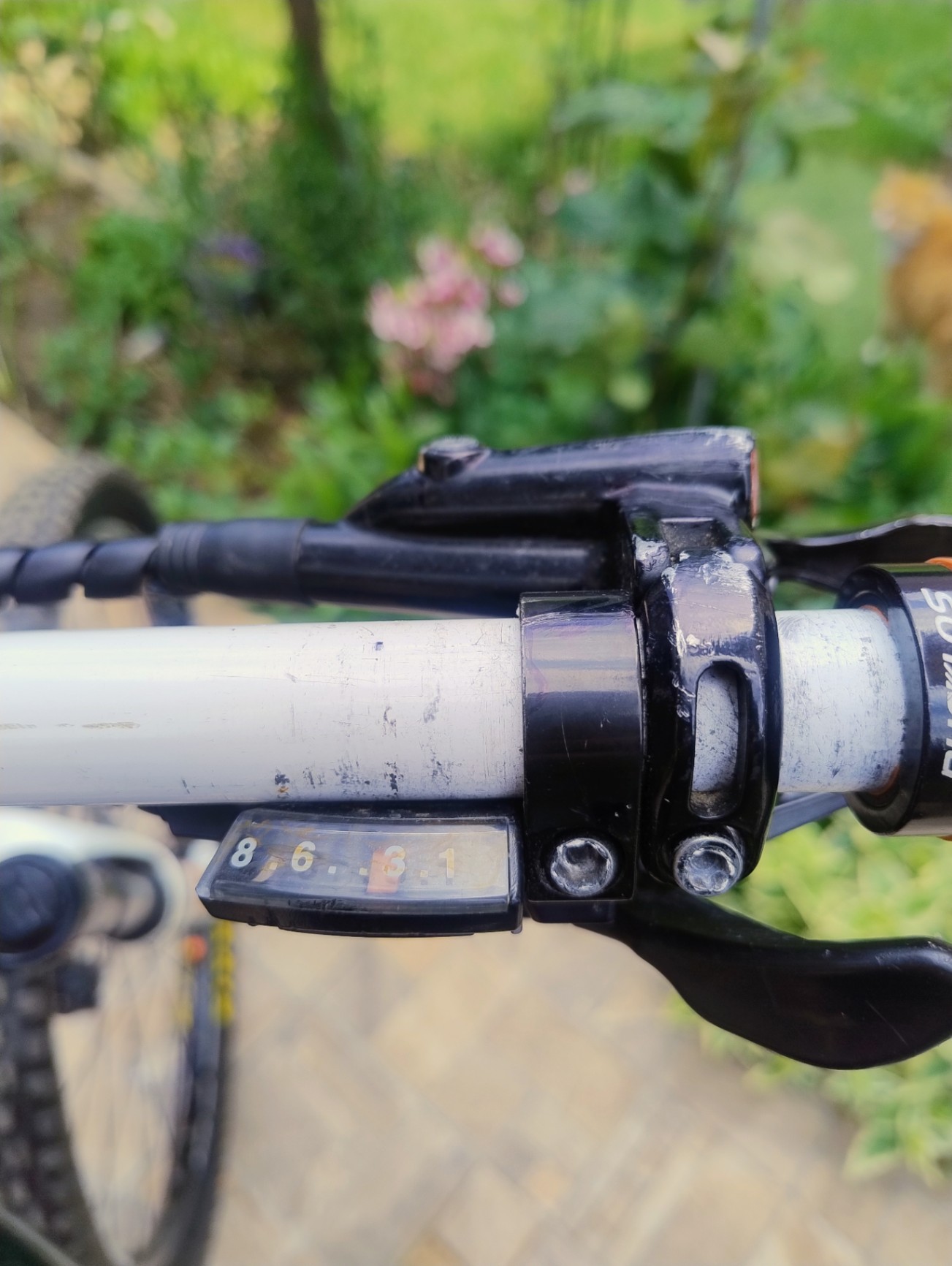 Bike view 8