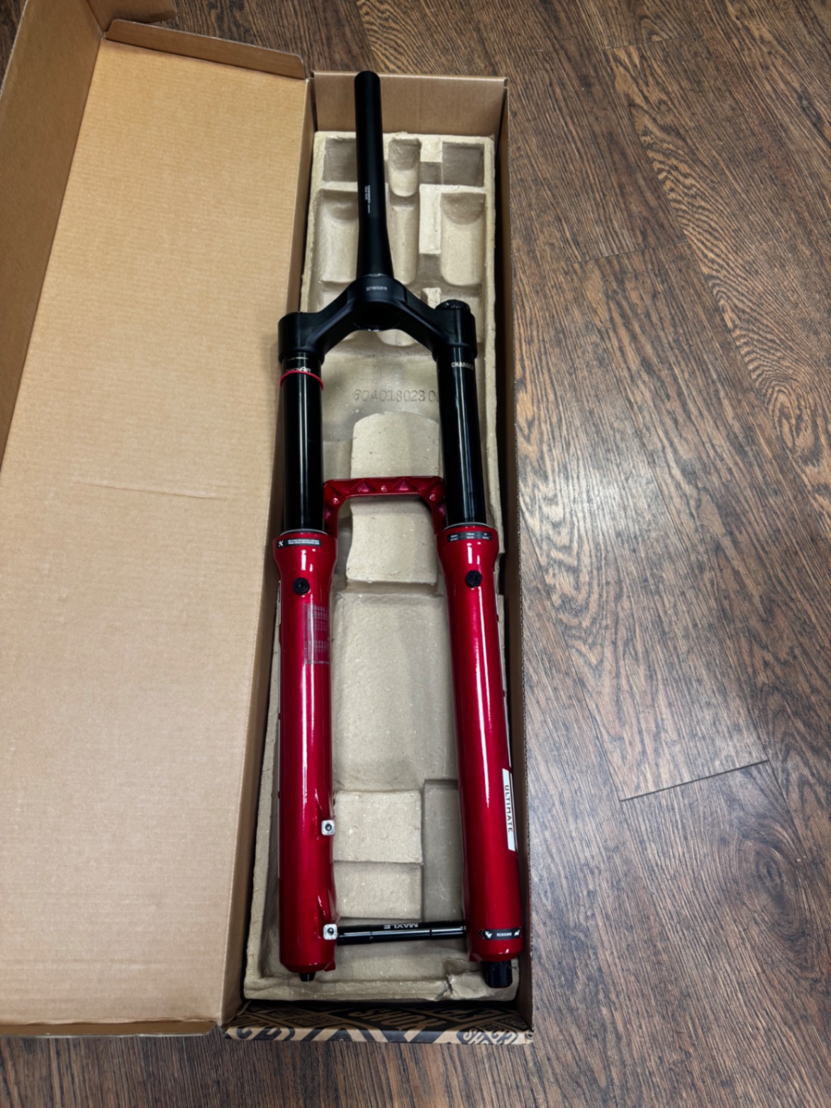 Rock Shox Zeb view 2