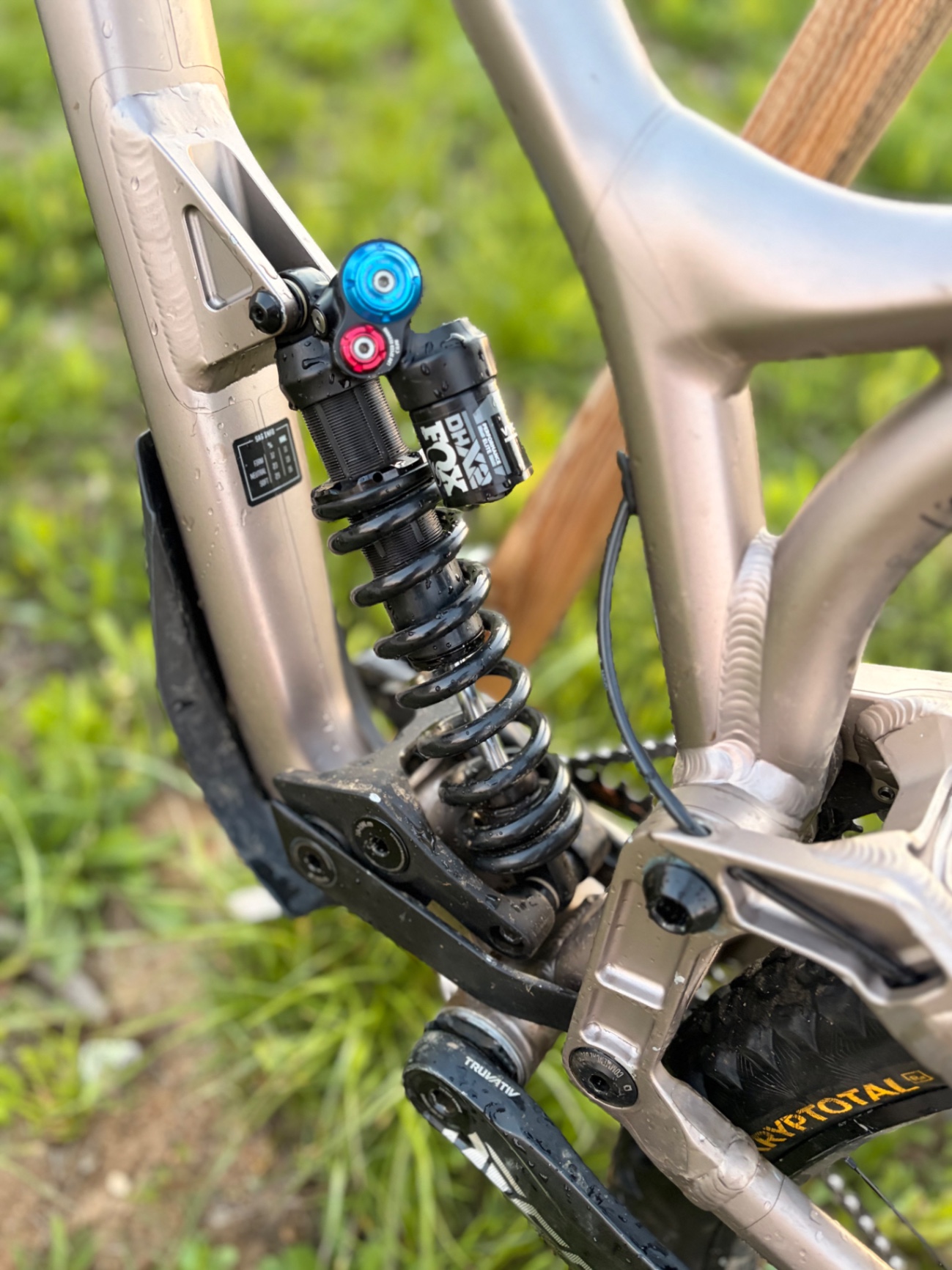 Bike view 7