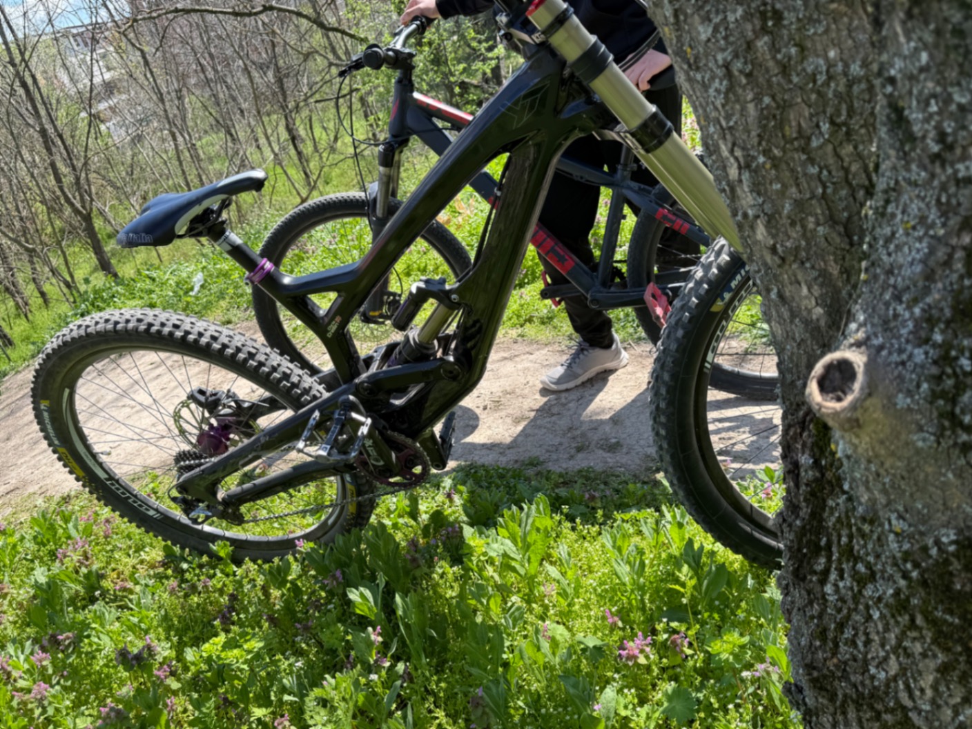 Bike view 2