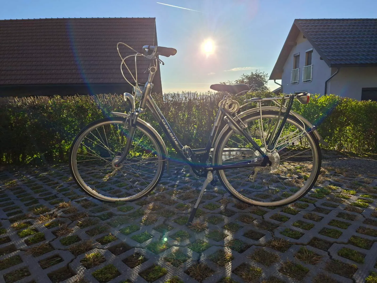 Gazelle Medeo