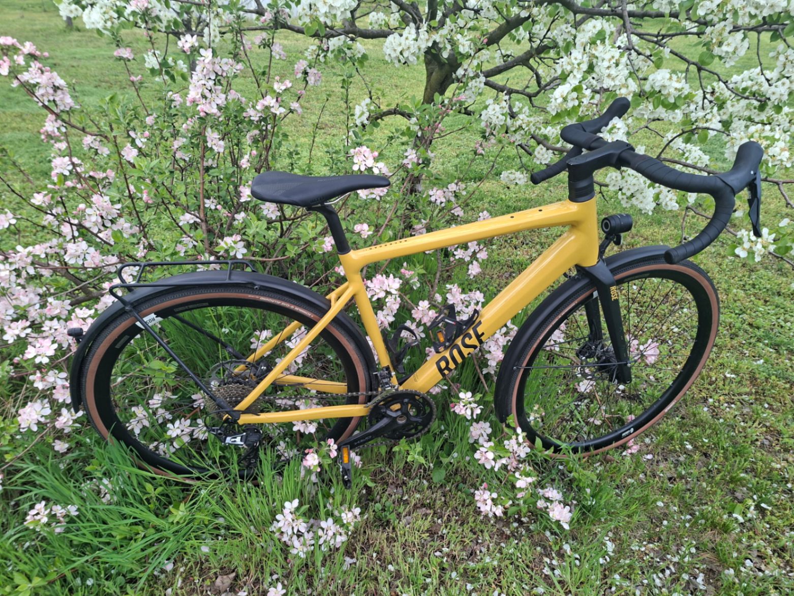 Bike view 6