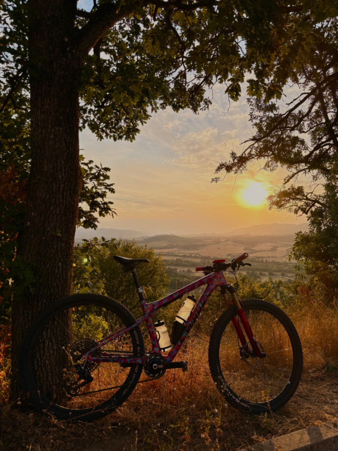 Bike view 3