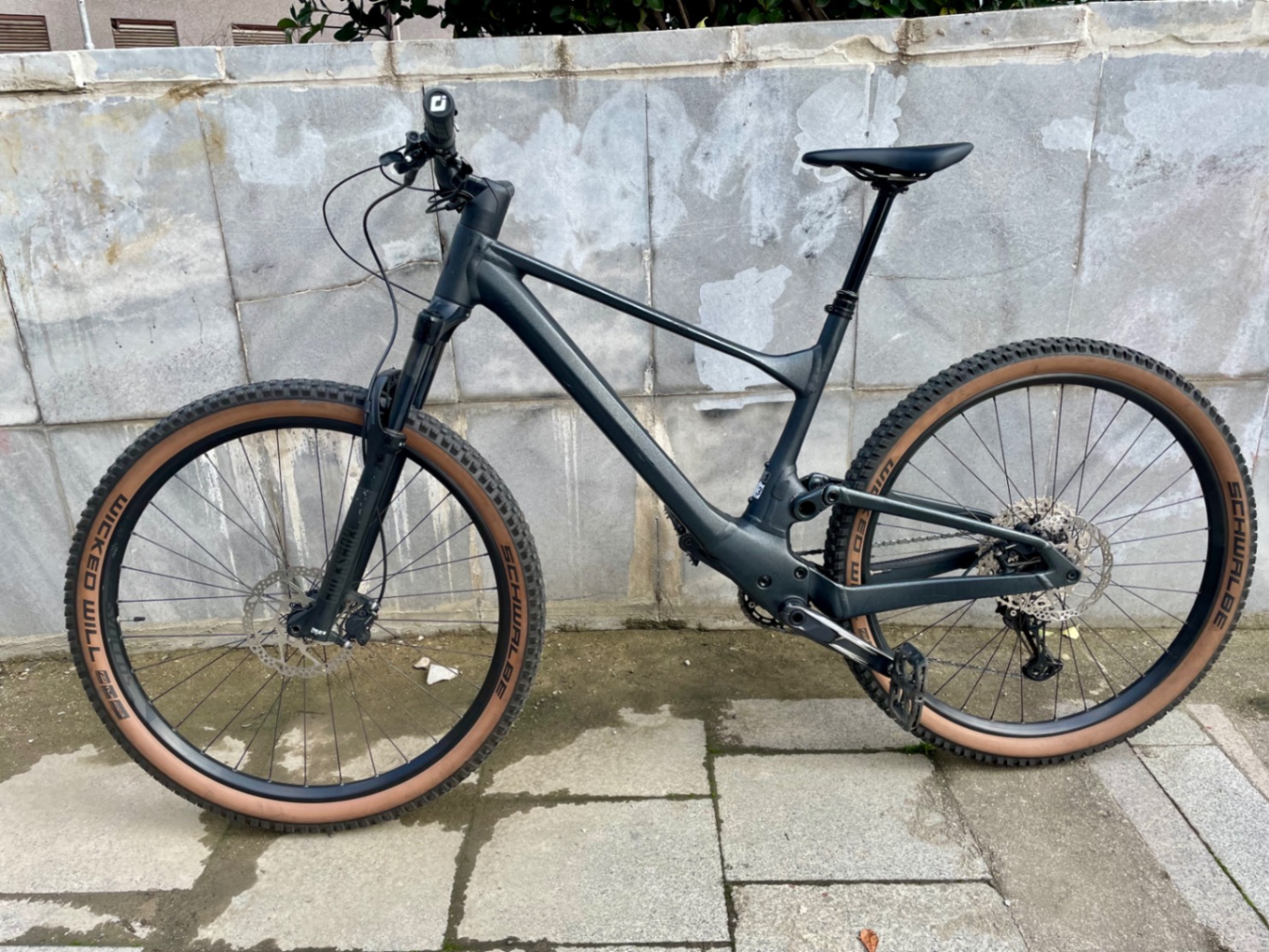 Bike view 7