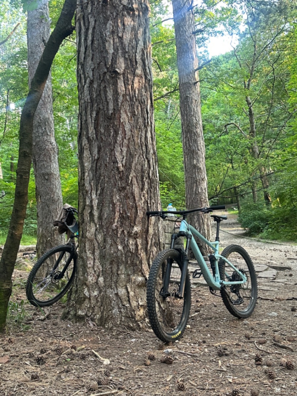 Bike view 3