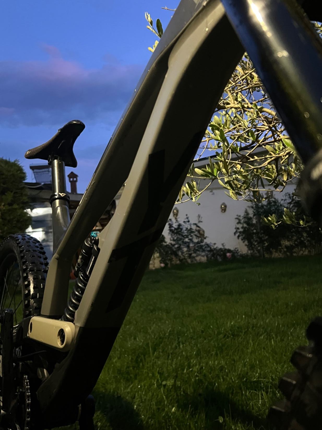 Bike view 7