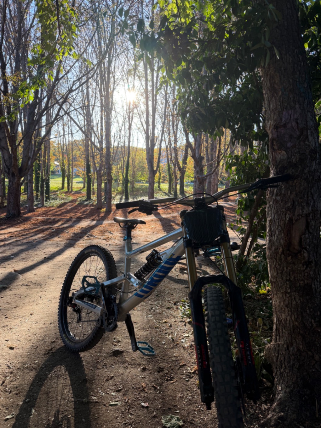 Bike view 7