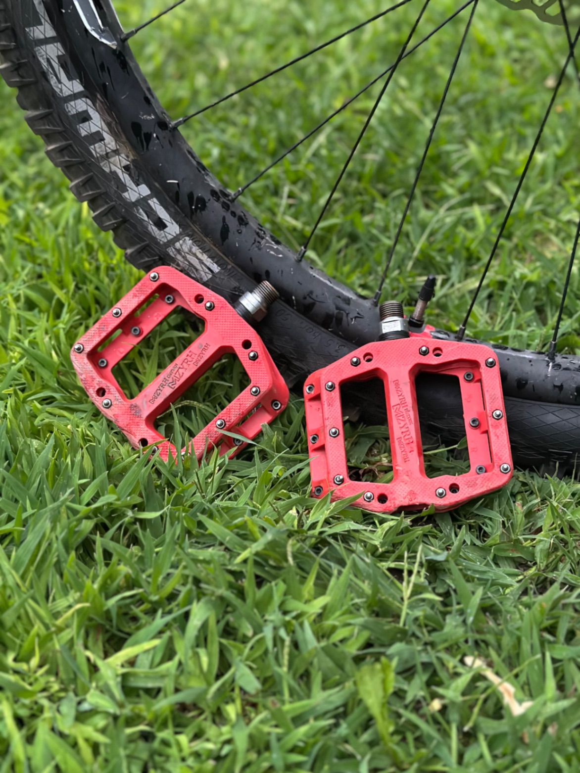 Bike view 6