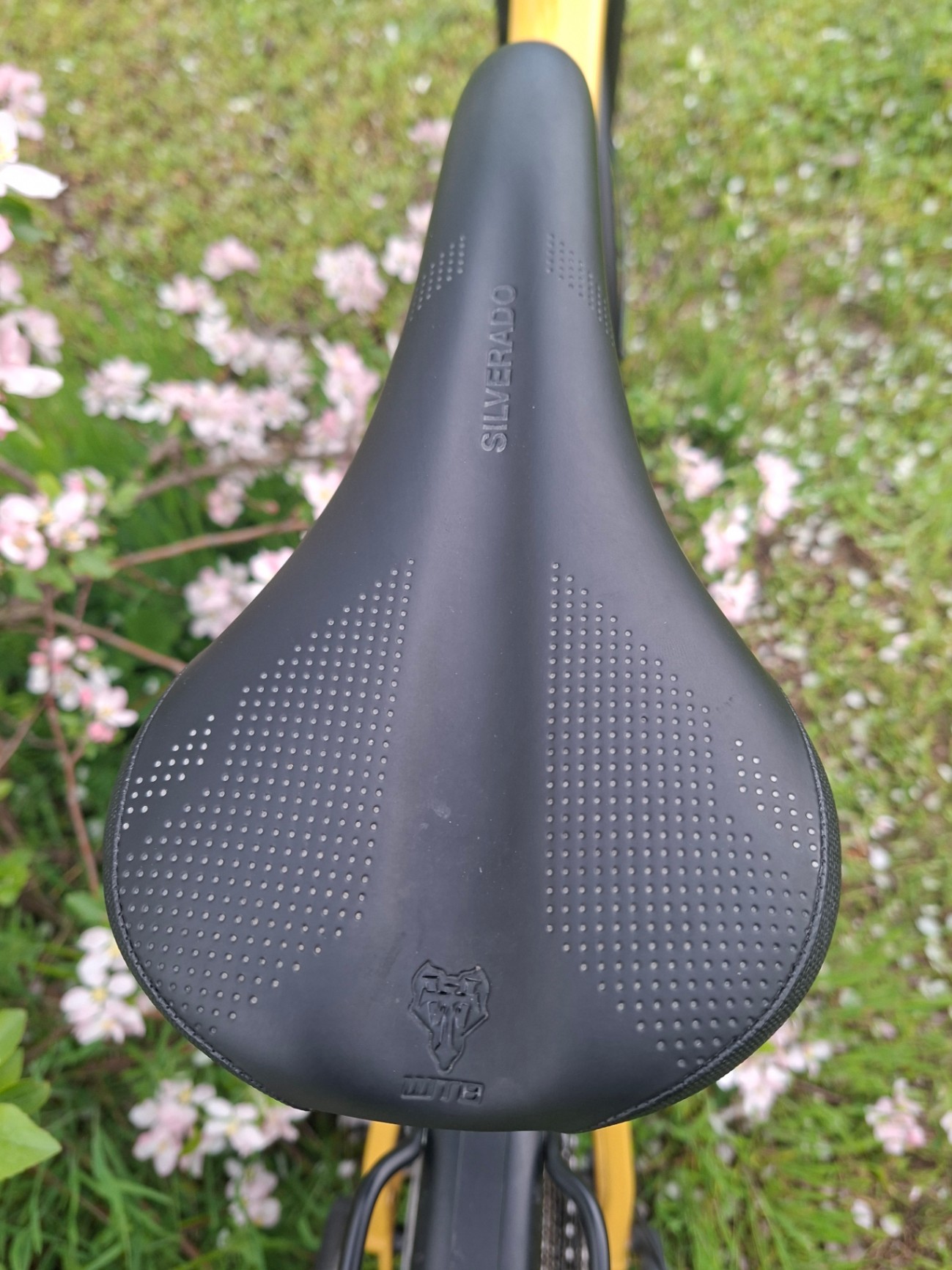 Bike view 5