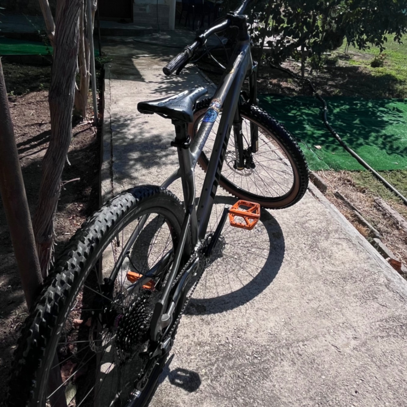 Bike view 5