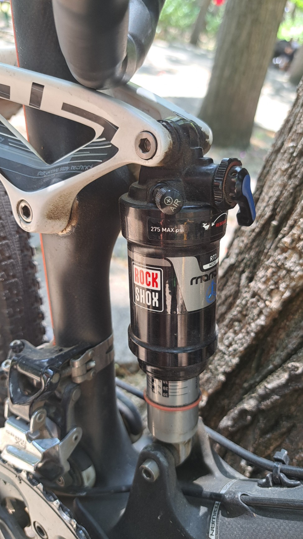 Bike view 10
