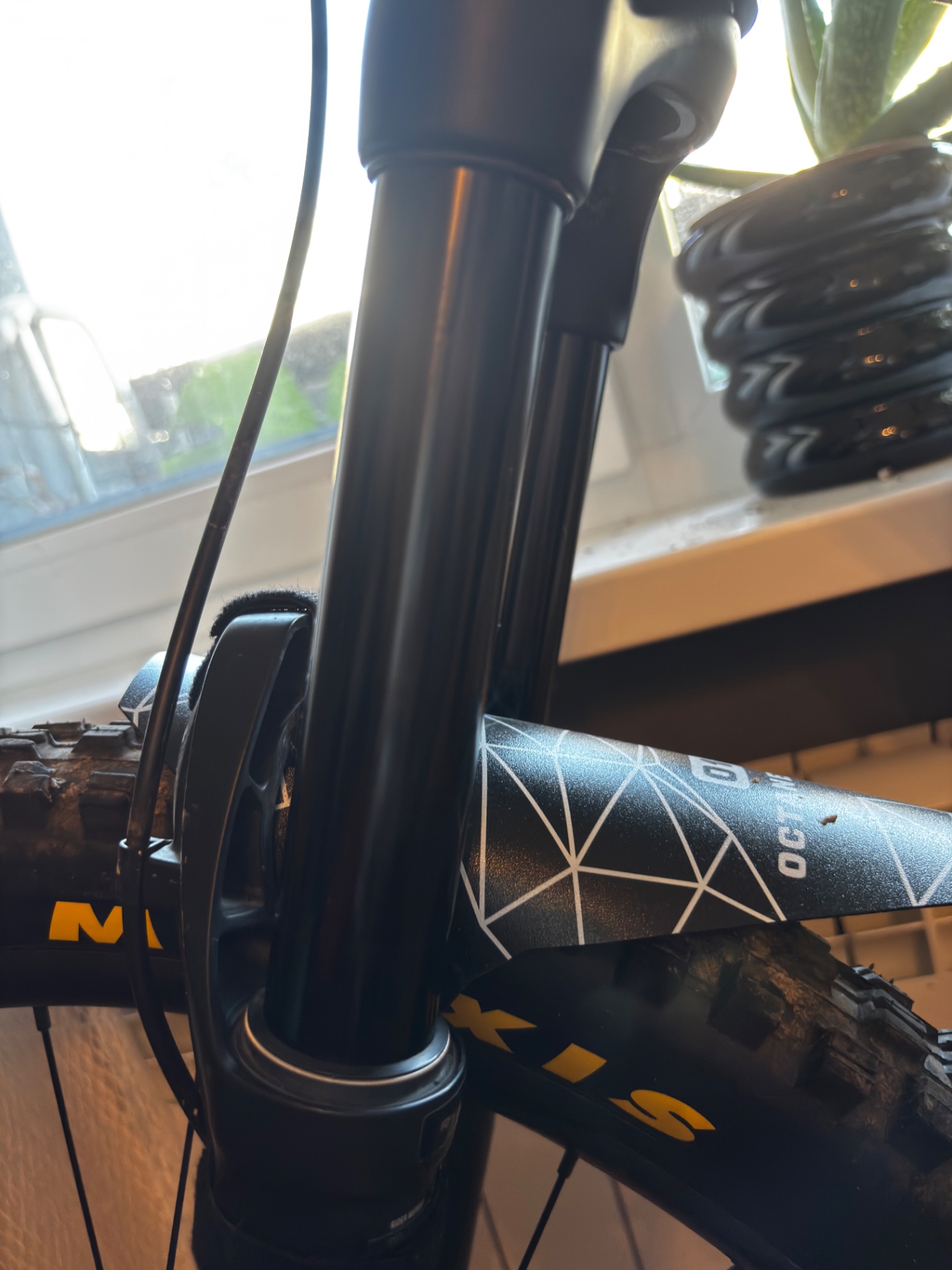 Bike view 4