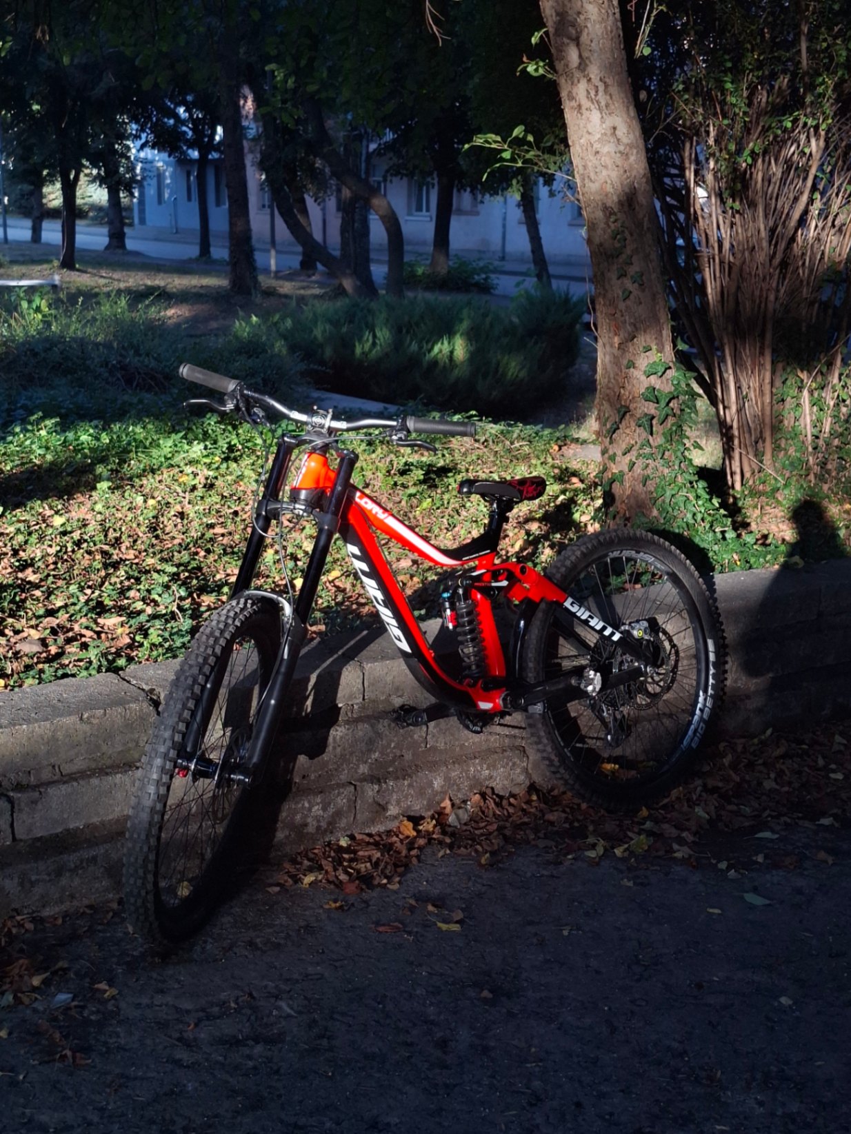 Bike view 5
