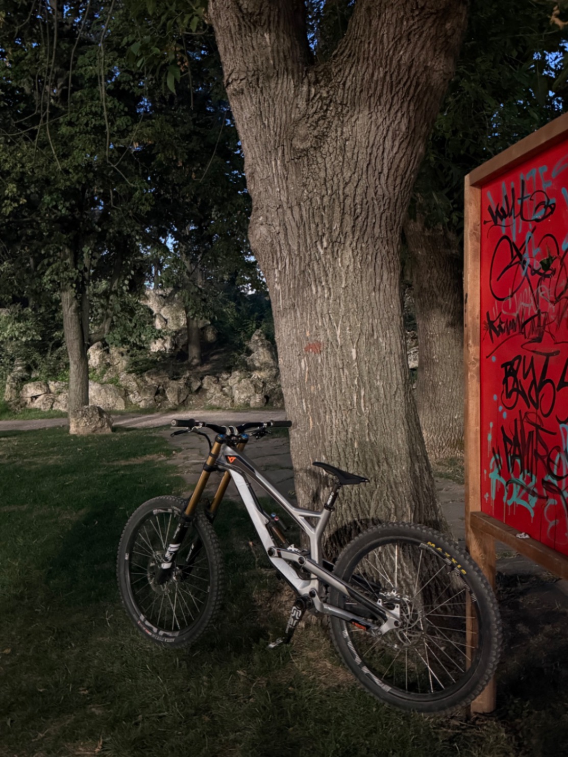 Bike view 10