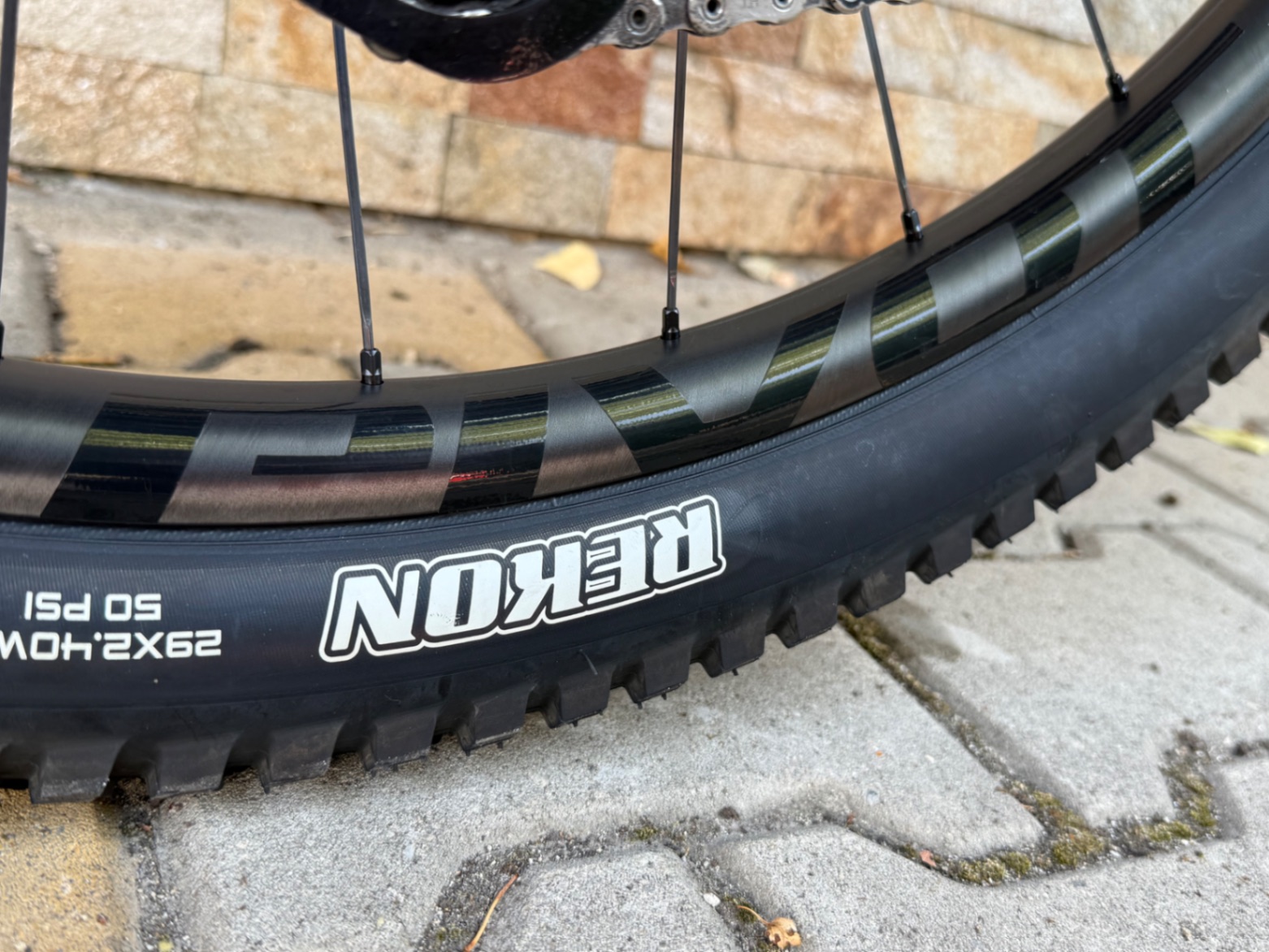 Bike view 7