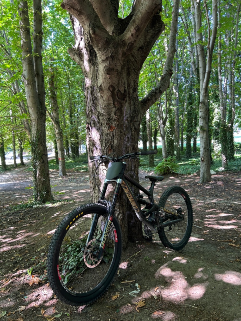 Bike view 4