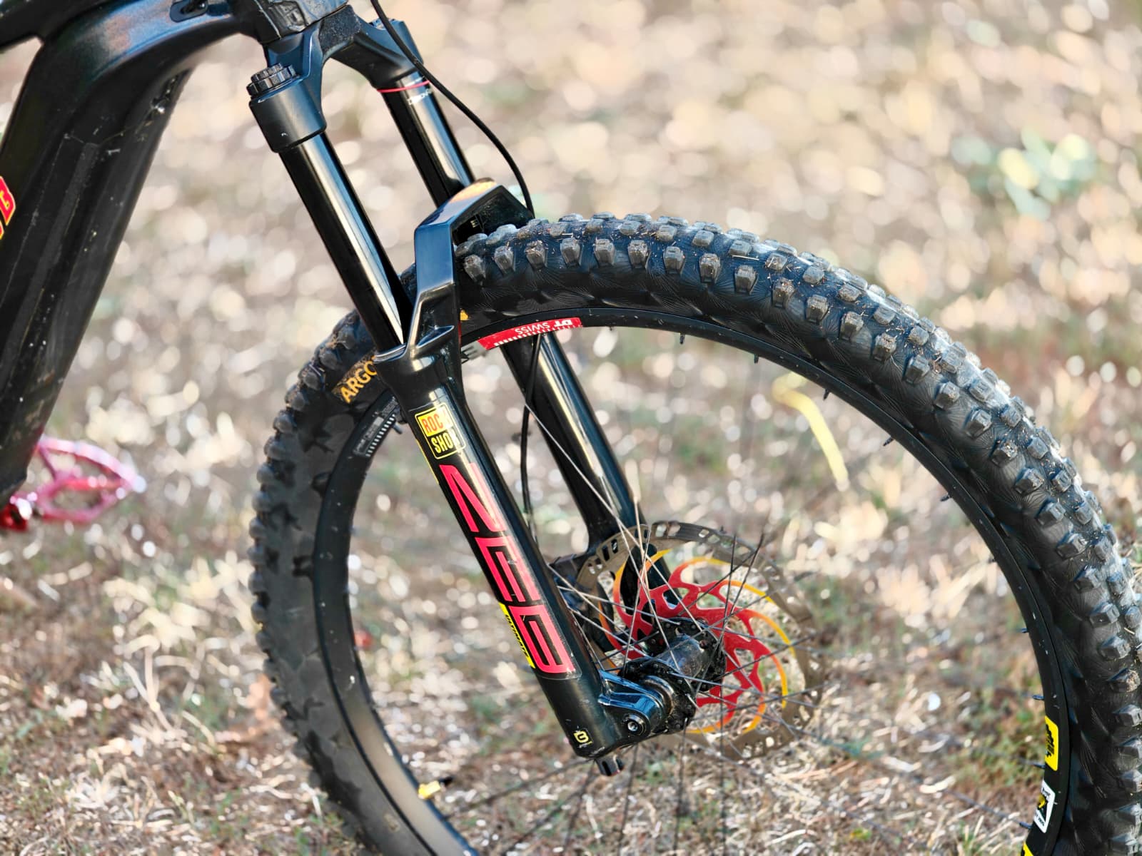Bike view 9