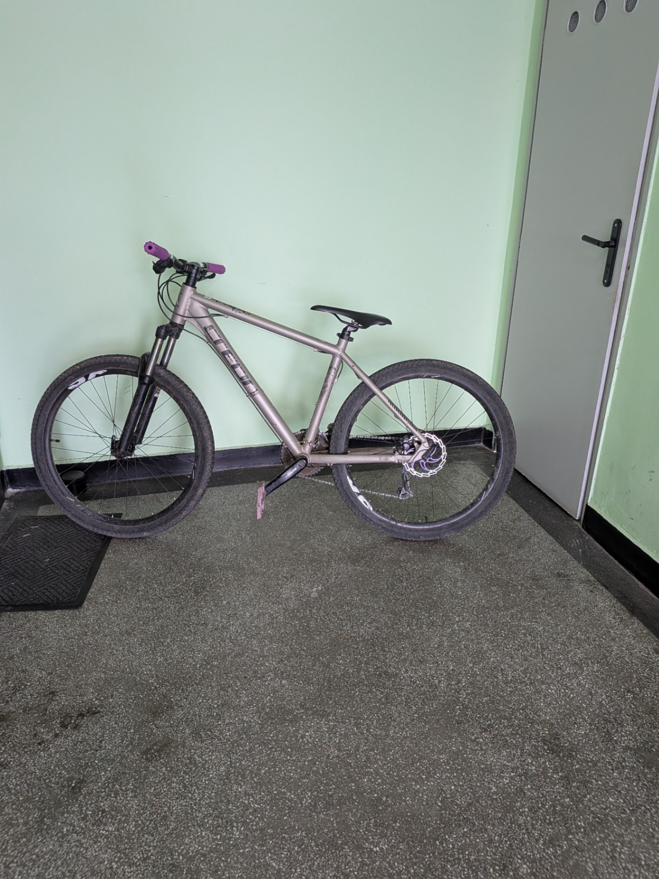 Bike view 6
