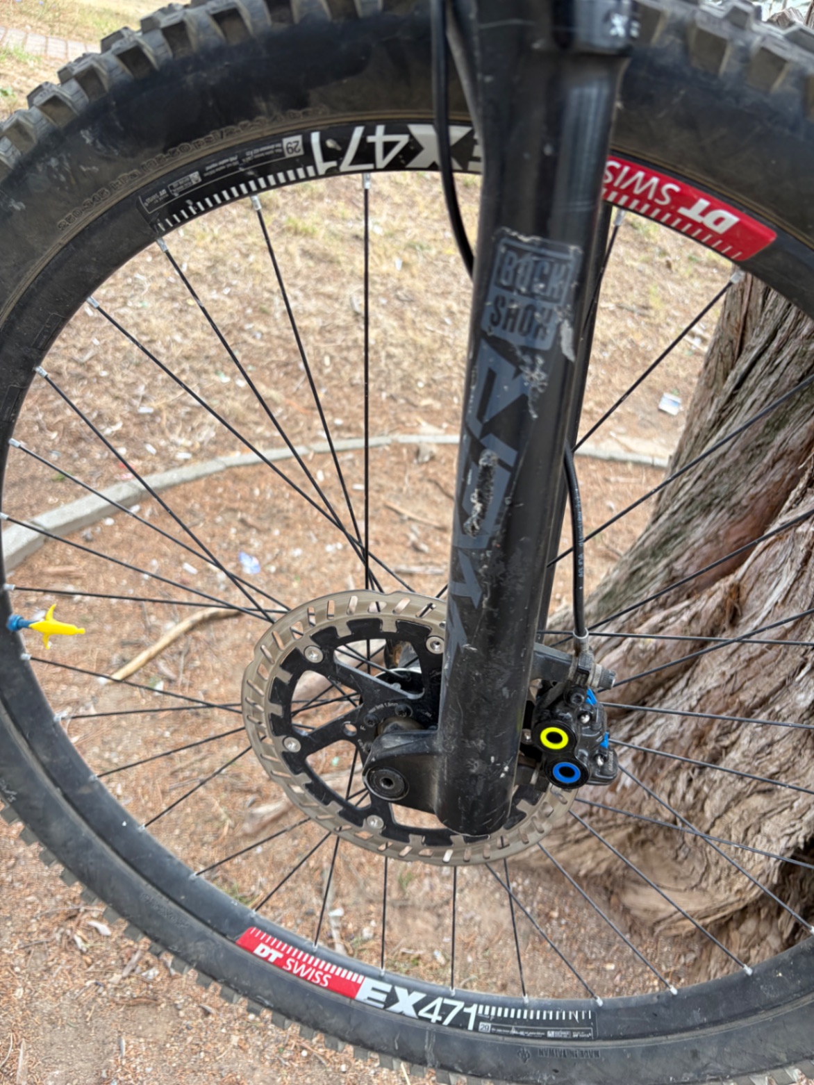 Saracen Myst x carbon view 9