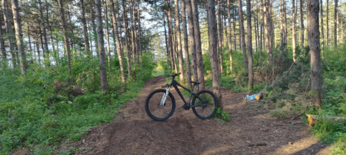 Bike view 9