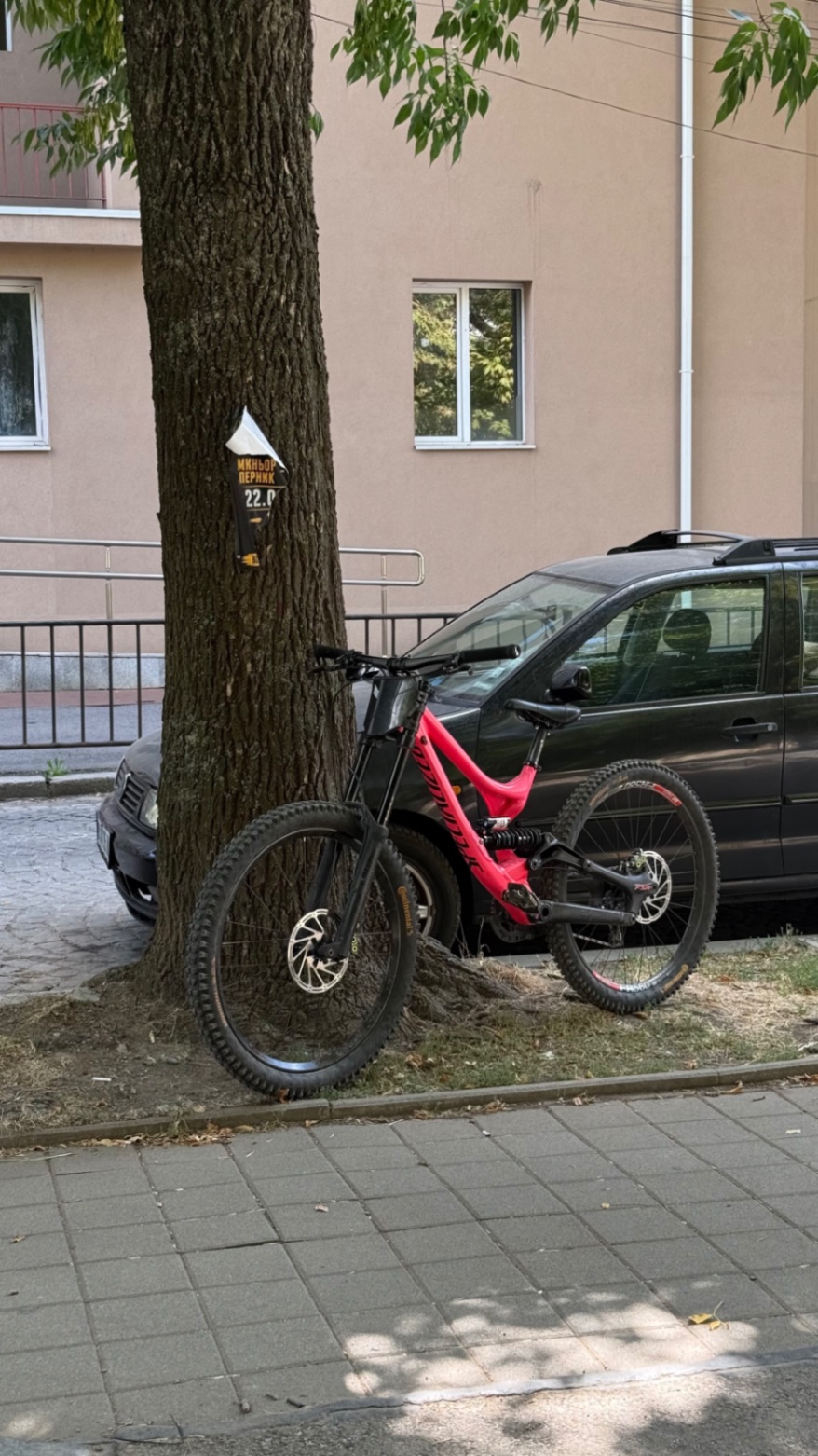 Bike view 10