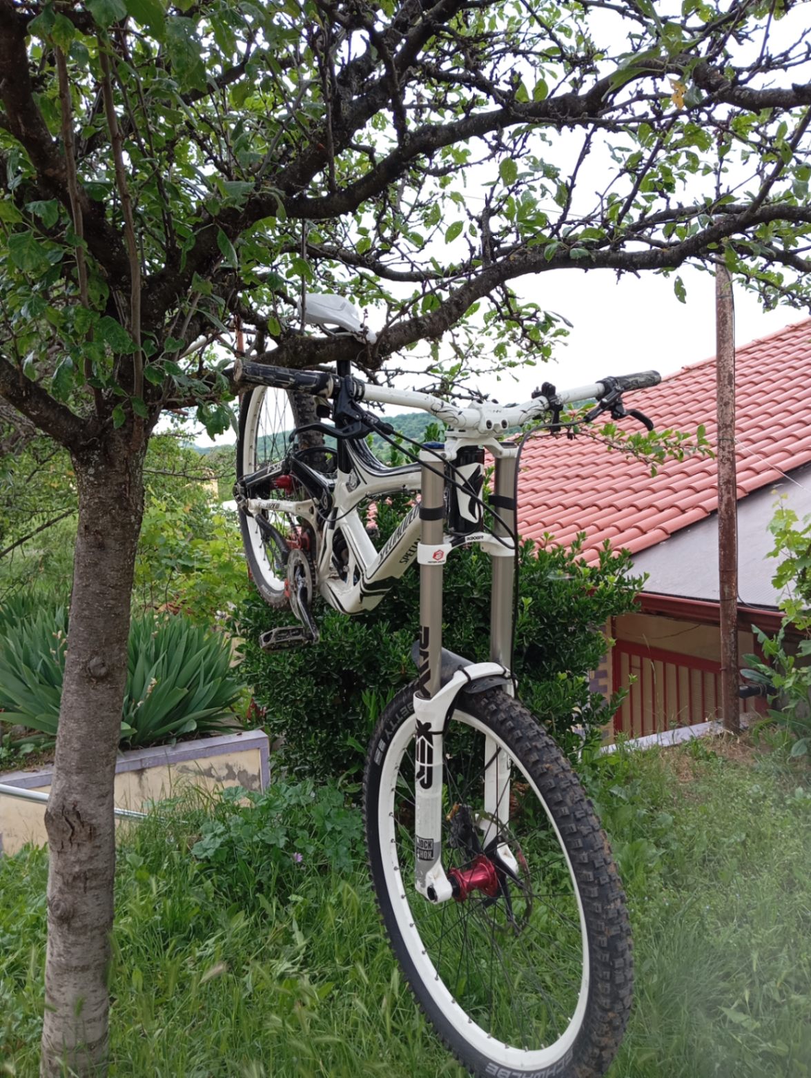 Bike view 4