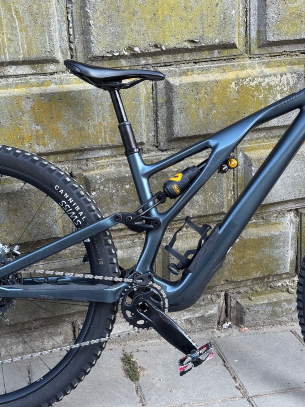 Bike view 10