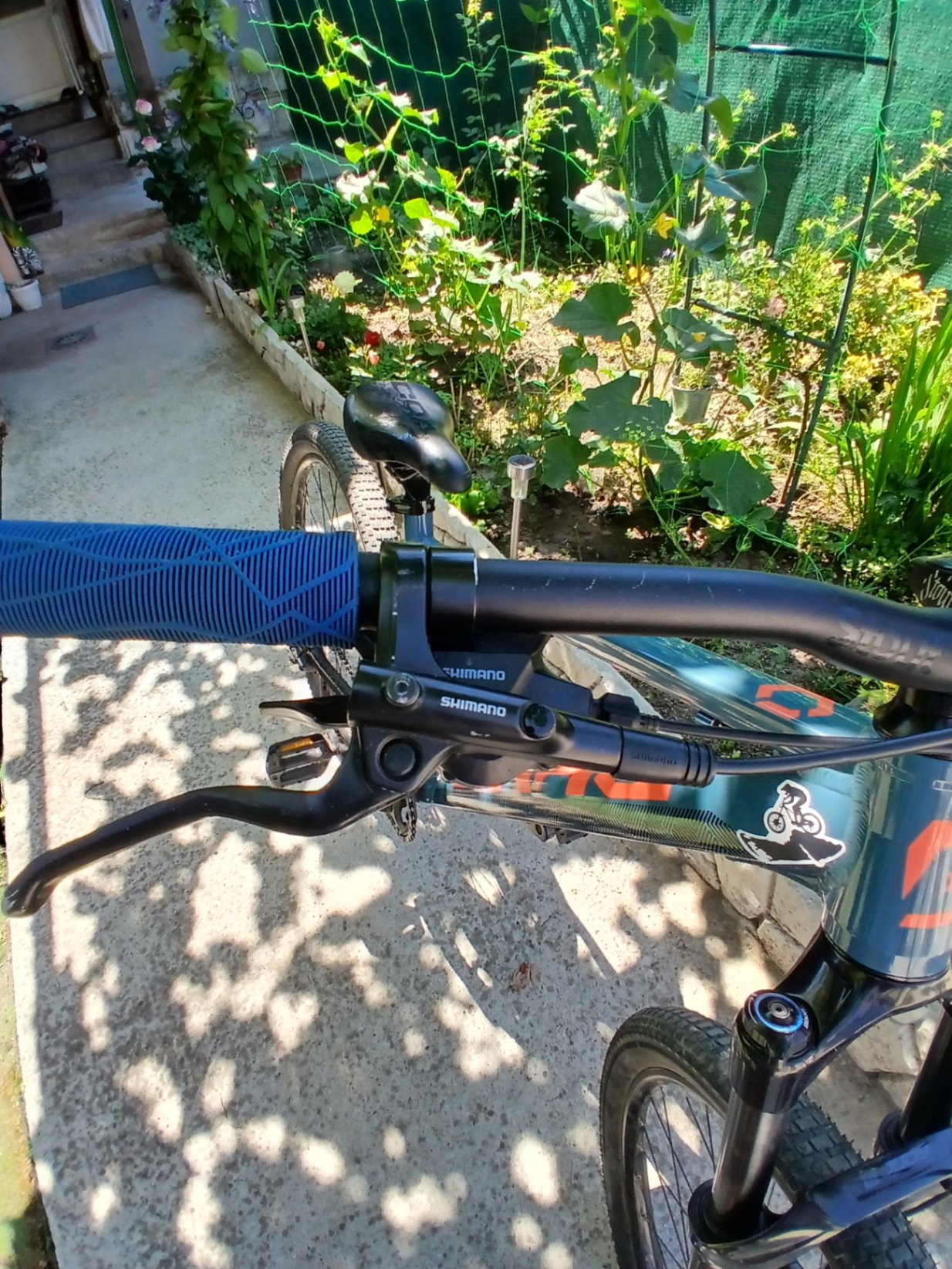 Bike view 8