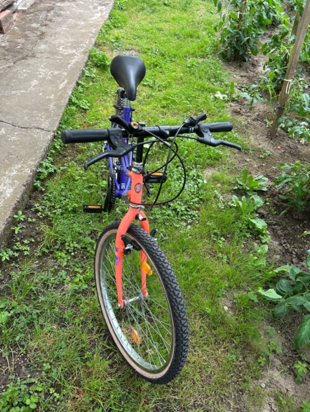 Bike view 2
