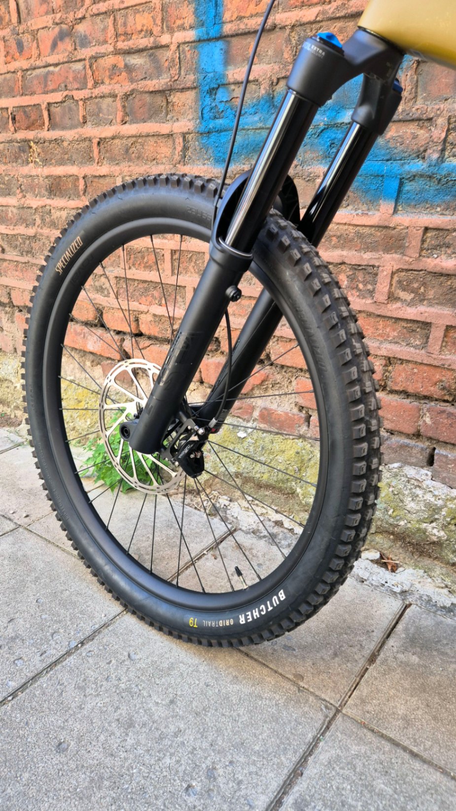 Bike view 9