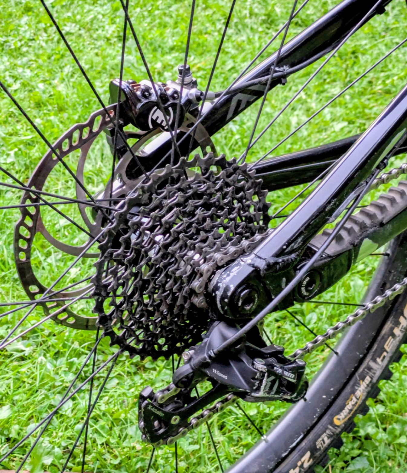 Bike view 9