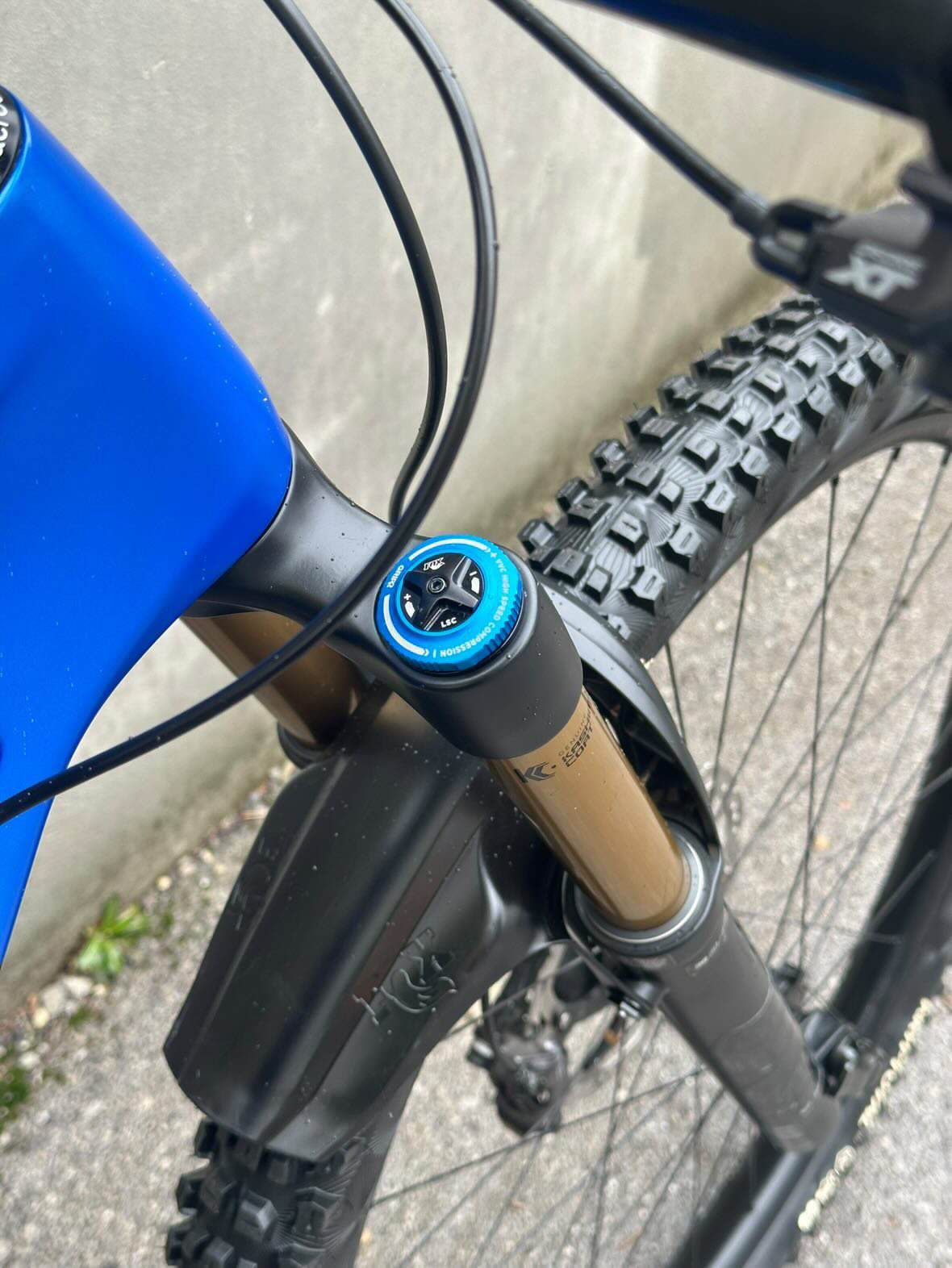 Bike view 9