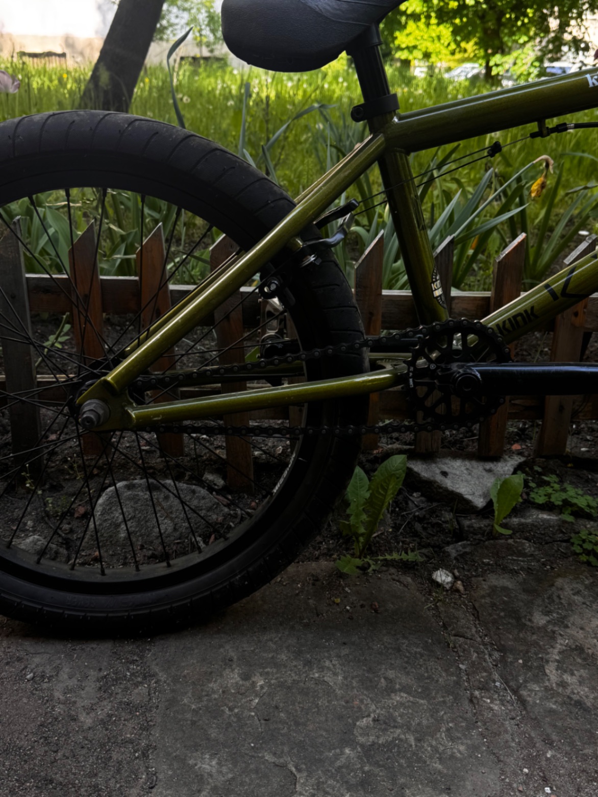 Bike view 5
