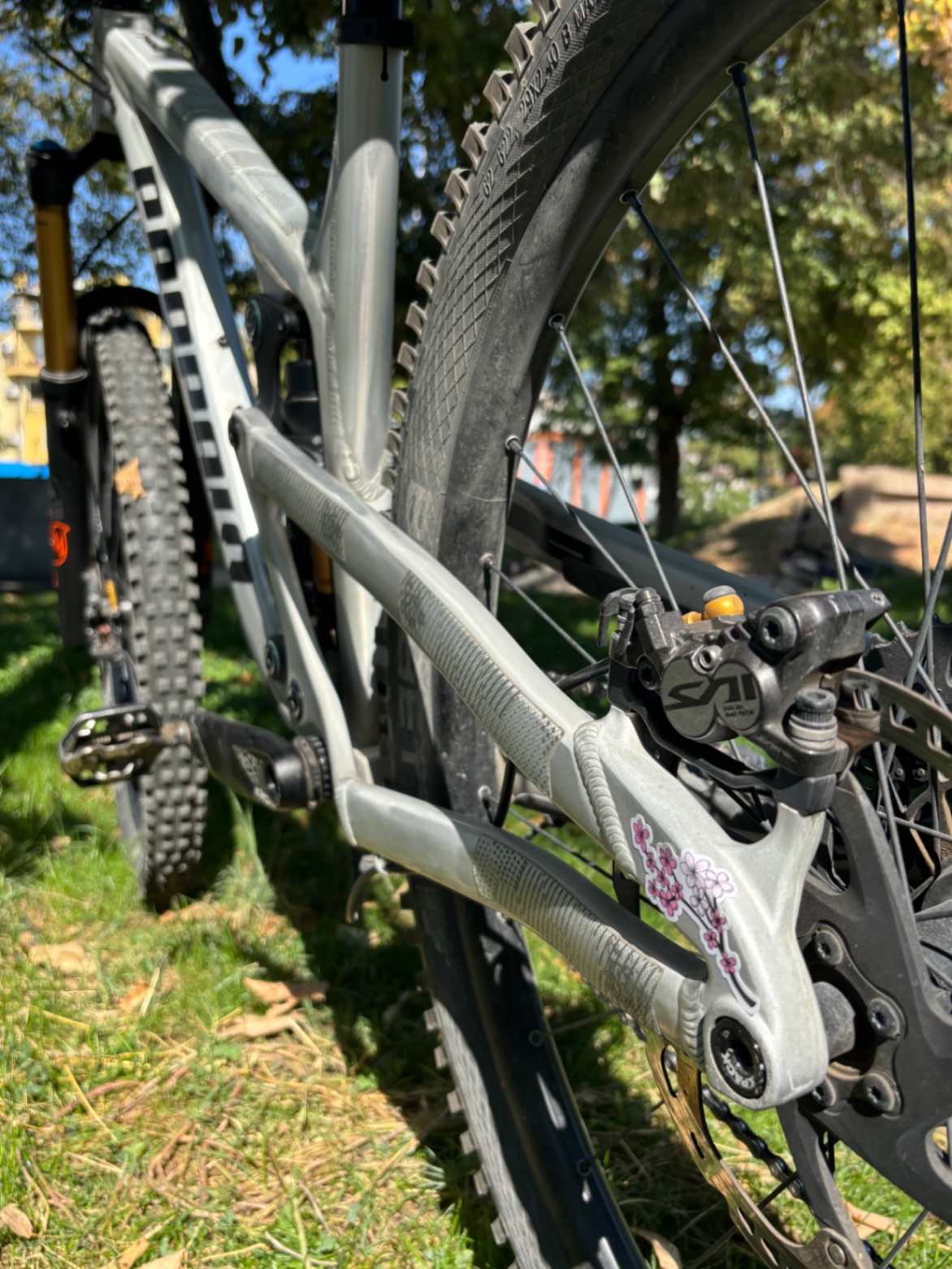 Bike view 5