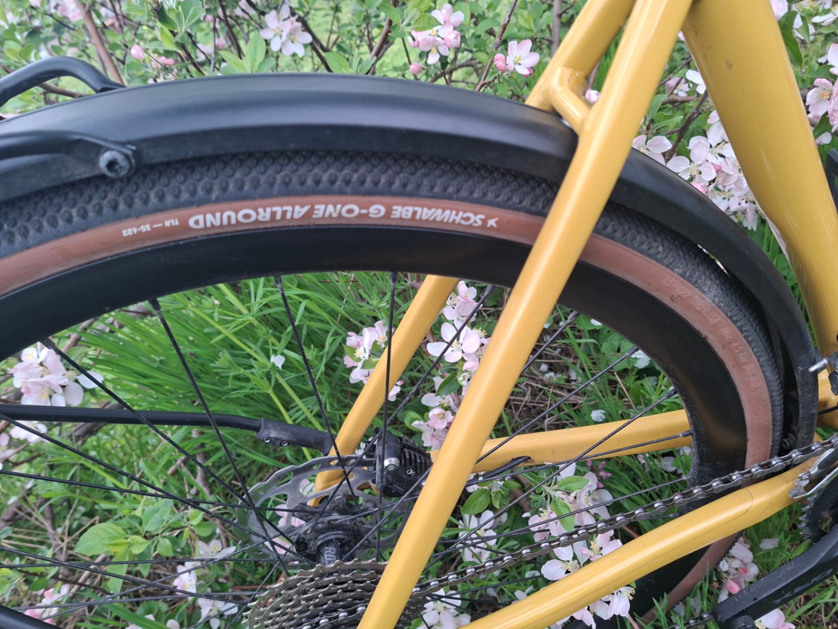 Bike view 12