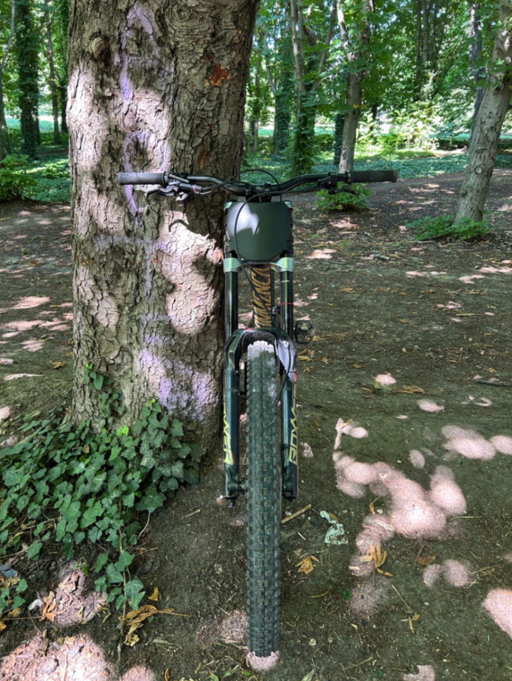 Bike view 6