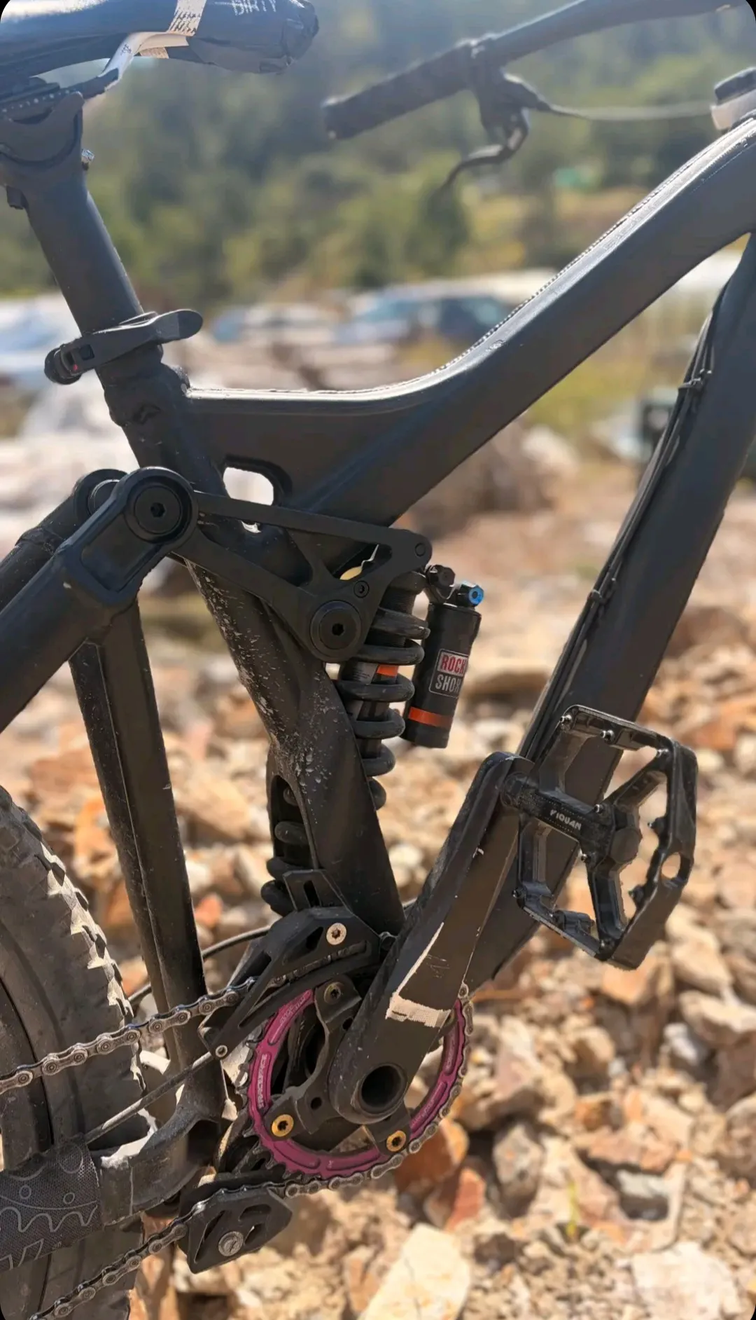 Haibike Dwnhll view 3