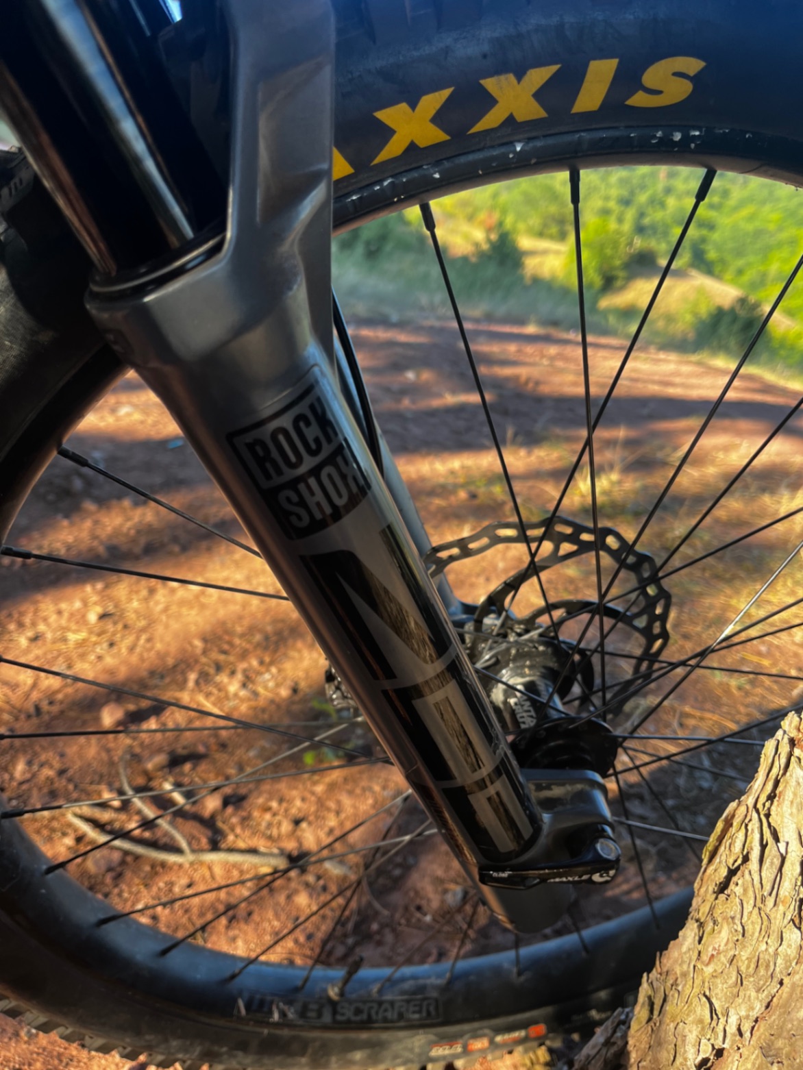 Bike view 7