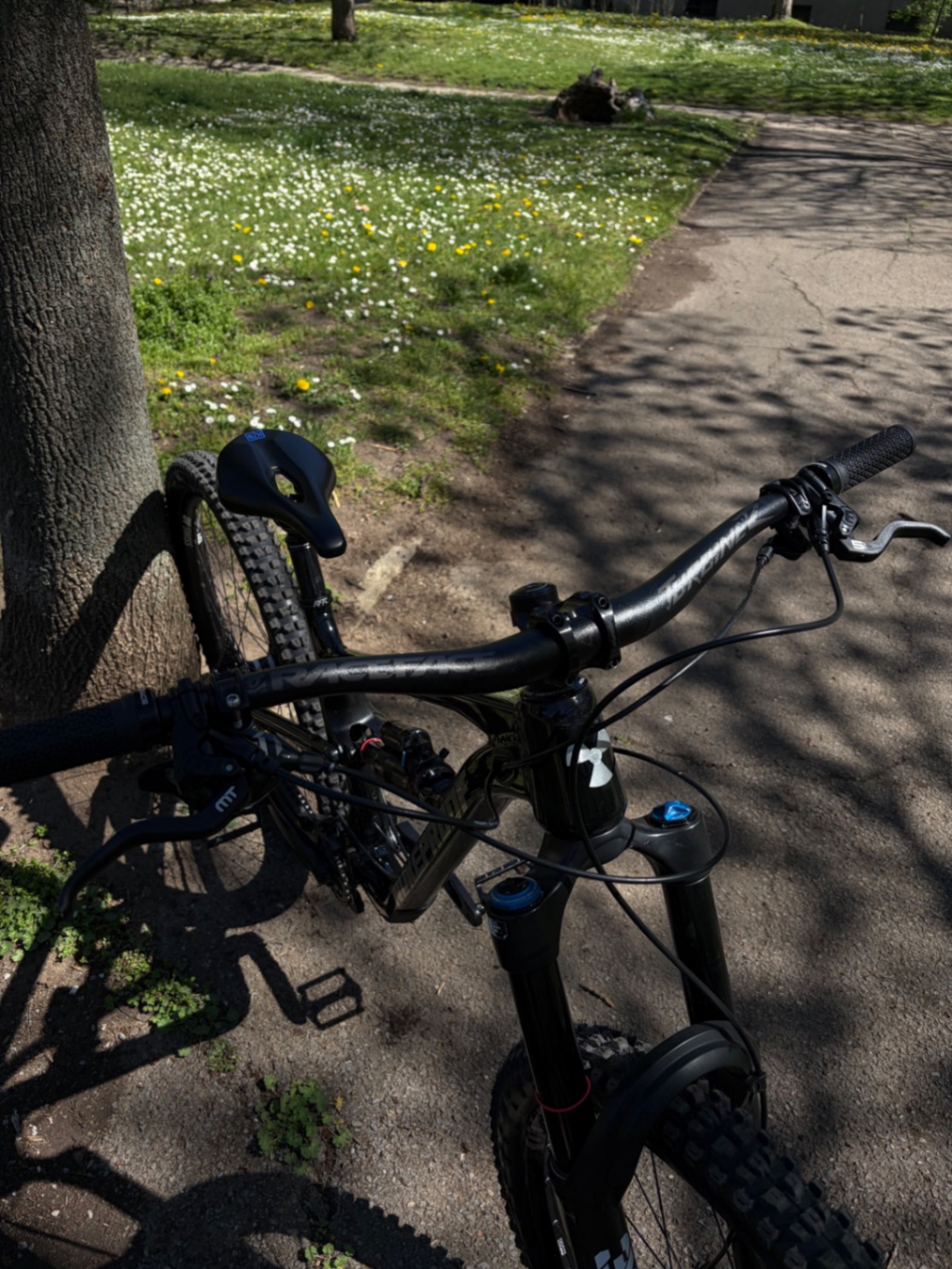 Nukeproof Mega 290AL Pro view 8