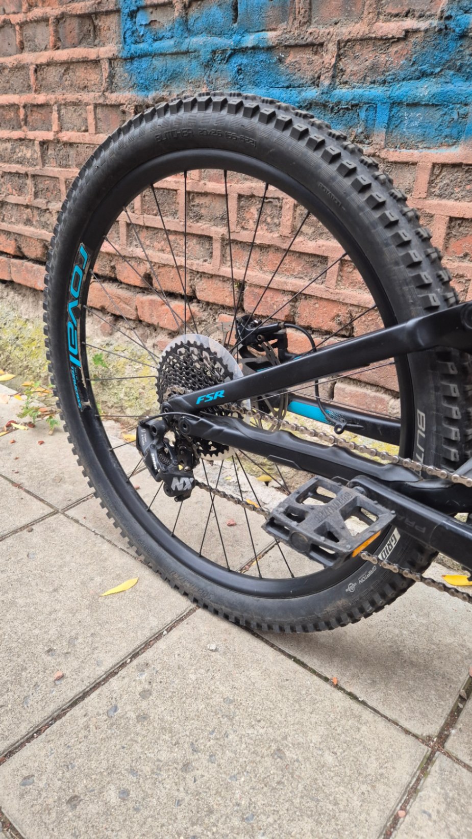 Bike view 7