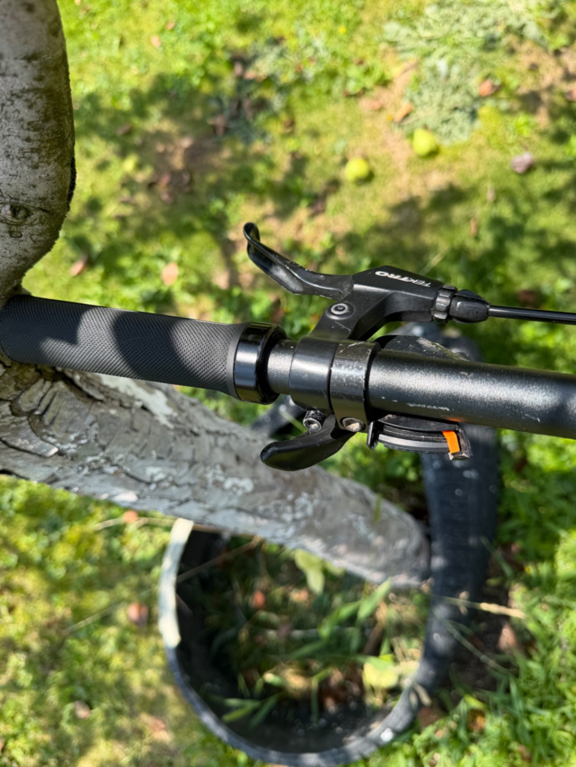 Bike view 6