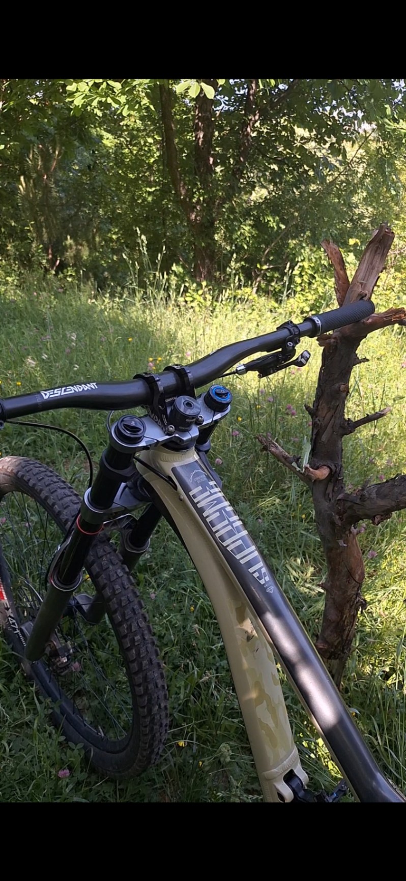 Bike view 5